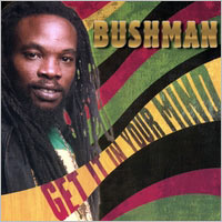 Album: BUSHMAN - Get it in your mind