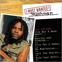 Album: BUSHMAN - Most wanted