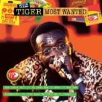 Album: TIGER - Most Wanted