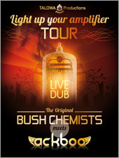 News reggae : The Bush Chemists meets Ackboo