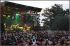 News reggae : Du reggae au Festival gratuit MusicOparc