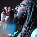 News reggae : Un reggae pour les nouveaux-ns
