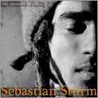 News reggae : Un site en franais pour Sebastian Sturm