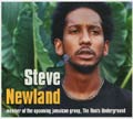 News reggae : Steve Newland,  surveiller