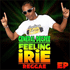 Chronique CD GENERAL DEGREE - Feeling Irie - Reggae EP