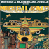 MUSICAL RAID