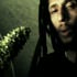 Video clip : Julian Marley - Boom draw