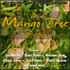 Riddim : L Slinga - Mango Tree riddim mix