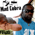 Interview Mad Cobra