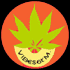 Radio : $elektaV€GR@ - Reggaefrance6t\'M #51