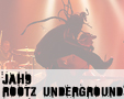 Album photo  : Jah 9 & Rootz Underground