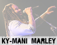 Album photo  : Ky-Mani Marley - Lyon 2015