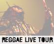 Album photo  : Reggae Live Tour #2
