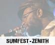Album photo  : Reggae Sumfest 2007 - Zenith