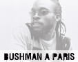 Album photo  : Bushman  Paris