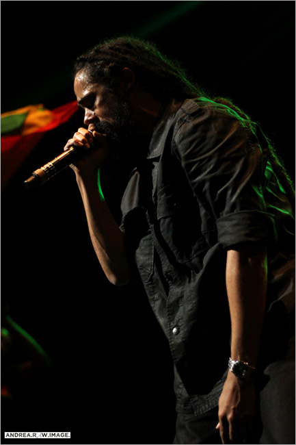 11. Damian Marley (Irie Jamboree 2013)