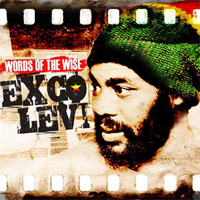 Pochette de l'album Words of the Wise  de EXCO LEVI