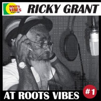 Pochette de l'album At Roots Vibes de RICKY GRANT
