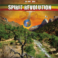 Pochette de l'album Time has come de SPIRIT REVOLUTION