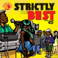 Pochette de l'album Strictly The Best vol 45 de VARIOUS ARTISTS
