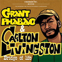 Pochette de Bridge of Life