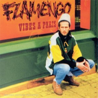 Pochette de l'album Vibes à Paris de Flamengo