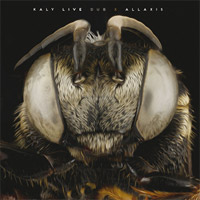Pochette de l'album Allaxis de KALY LIVE DUB
