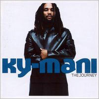 Pochette de The Journey