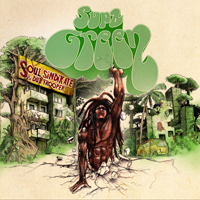 Cover of the album Supa Green by SOUL SINDIKATE & DUB TROOPER