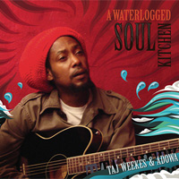Cover of A Waterlogged soul kitchen