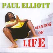 Cover of The meaning of life, Paul Eliott