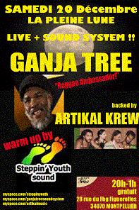 Flyer GANJA TREE ARTIKAL STEPPIN YOUTH - Concert le samedi 20 décembre 2008 à Montpellier