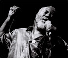 Reggae Symphony cuvée 2009