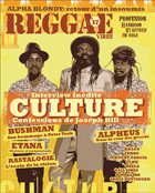 Reggae Vibes #17 : Culture en couverture