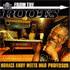 Pochette de l'album Horace Andy meets Mad professor de HORACE ANDY