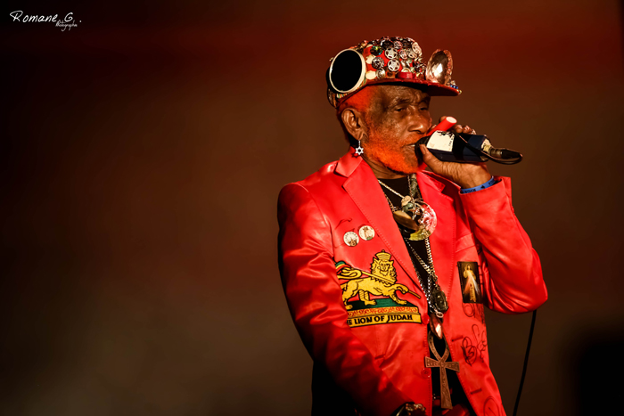 Lee Scratch Perry - No Logo Festival 2014