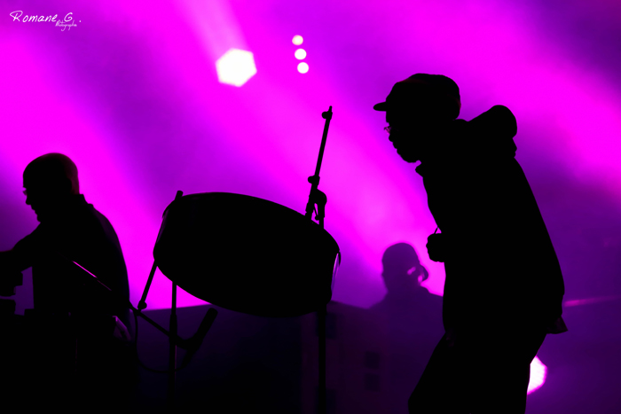 Lee Scratch Perry - No Logo Festival 2014